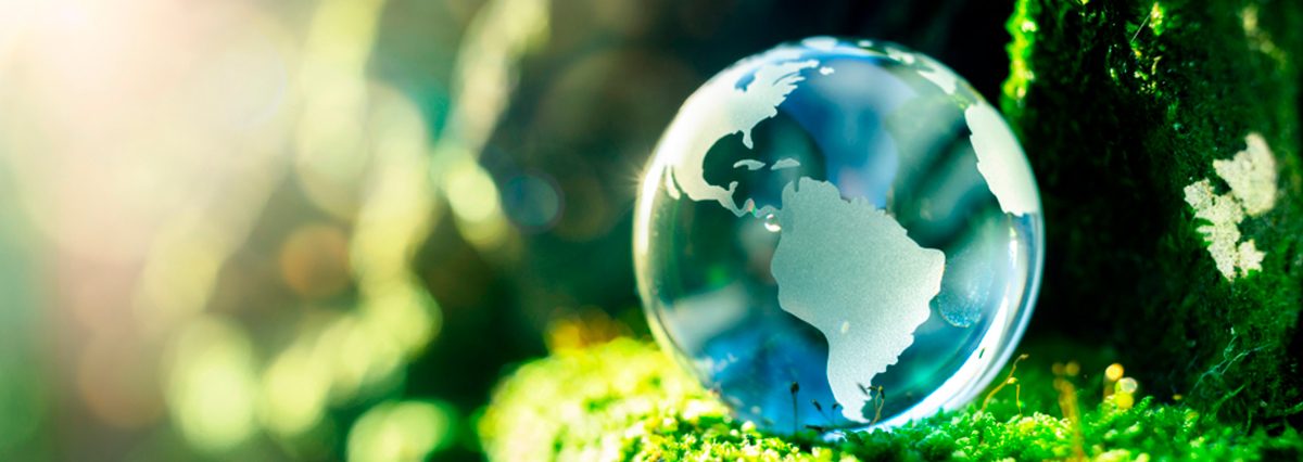 Declara-santuario-de-la-Naturaleza-el-Humedal-La-Boca