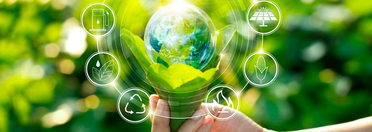 MEDIO AMBIENTE