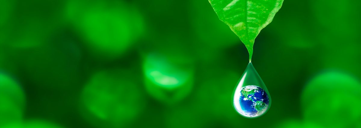 Medio-ambiente-2