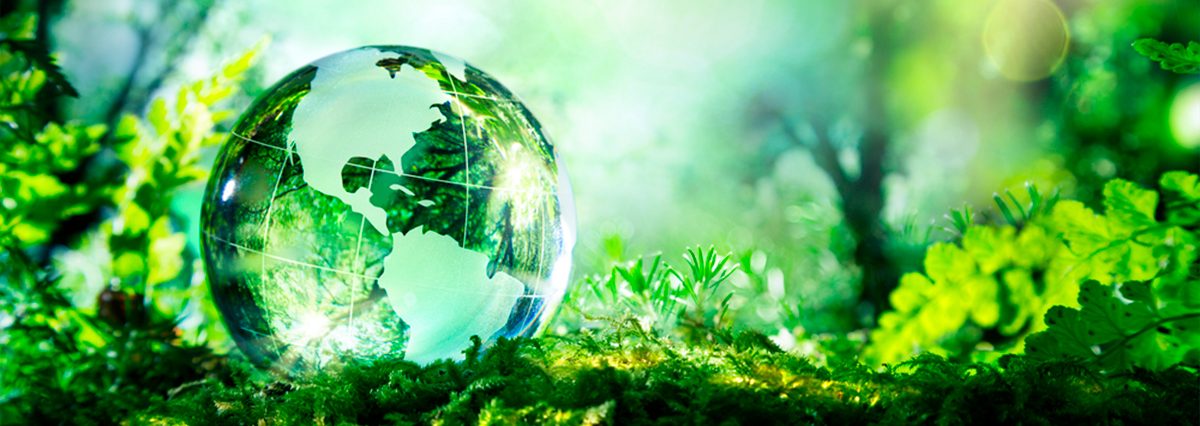 Medio-ambiente-4