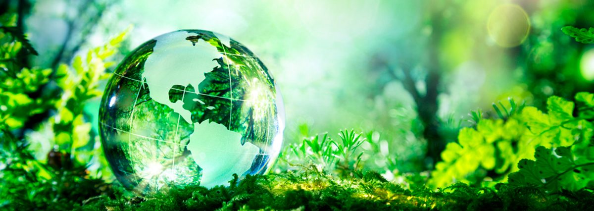 Medio-ambiente-4