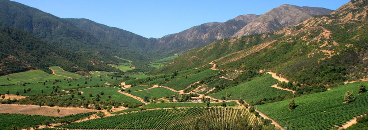 agricultura