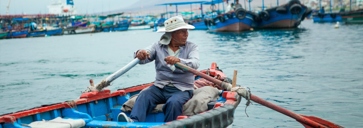 pesca-5