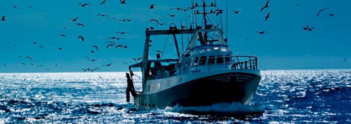 pesca